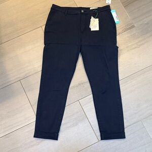 NWT Women’s Navy Pants